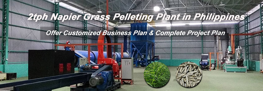 2 Ton/h Napier Grass Pelleting Plant in Philippines