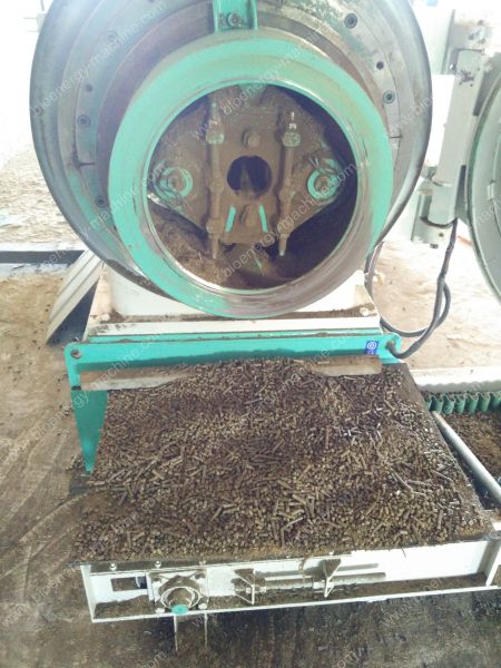 Napier grass pelleting