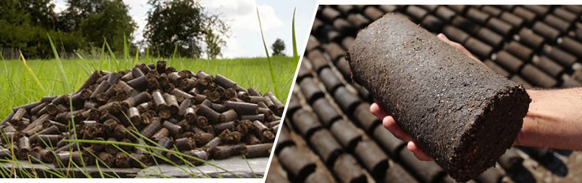 Make Olive Pomace Into Pellets Or Briquettes Fuel