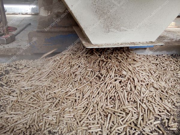 industrial wood pellets production