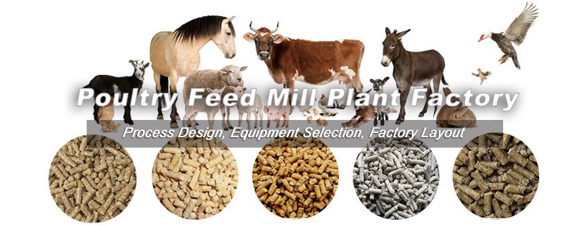 Poultry Feed Pellet Markets