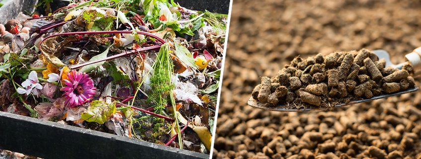 Organic Waste to RDF Conversion Flowchart - Preprocessing to Energy Recovery