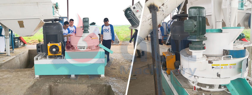 RDF Waste-to-Energy Technology Guide - Energy Efficiency & Low Maintenance