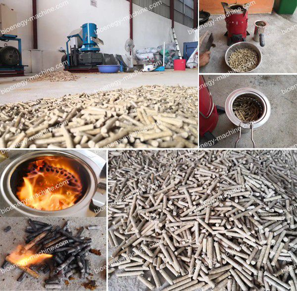 rice husk pellet mill in Cambodia