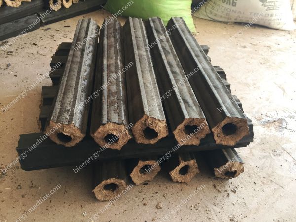 sawdust briquettes of briquetting project