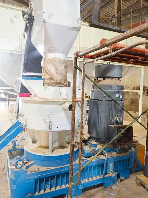 Factory Prrice Sawdust Pellet Mill Installated in Indonesia