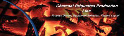 Setting Up A Charcoal Briquette Plant at Reliable Prices
