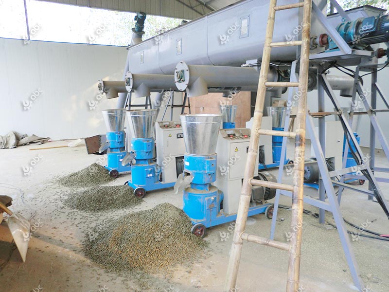 Small Biomass Pellet Mill at Work