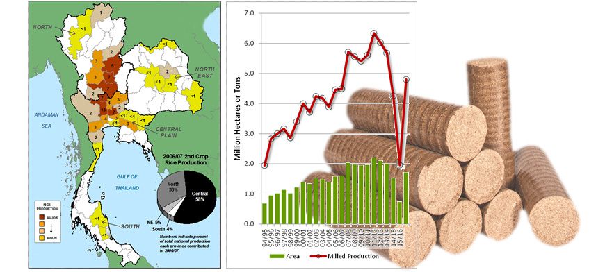 Start Rice Husk Briquetting Business in Thailan