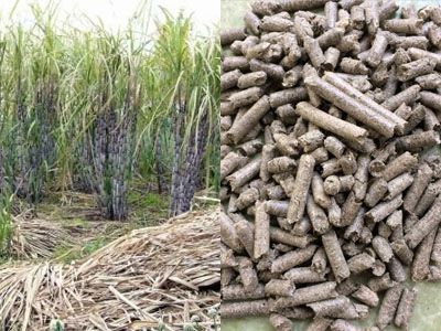 sugarcane bagasse pellets