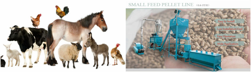Small Feed Pellet Production Line for Various Animal