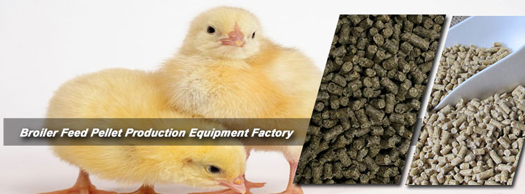 Profitable Broiler Feed Business Plan