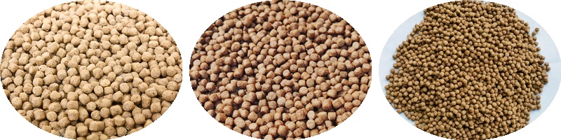 alanced Nutrition Floating Fish Feed