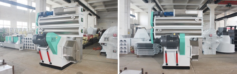 Rabbit Pellet Making Machine for Efficient Feed Production