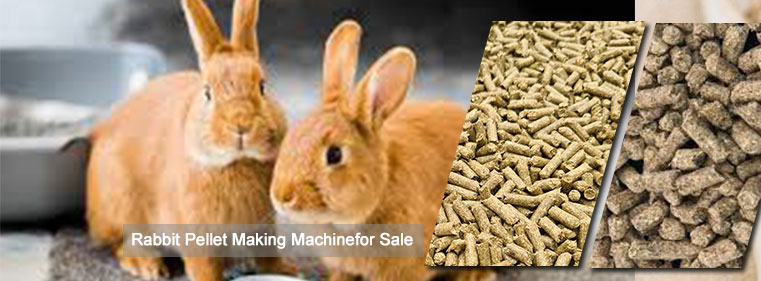 Profitable Rabbit Pellet Making Business Guide
