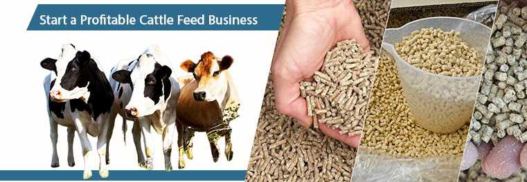 Efficient Cattle Feed Processing Business