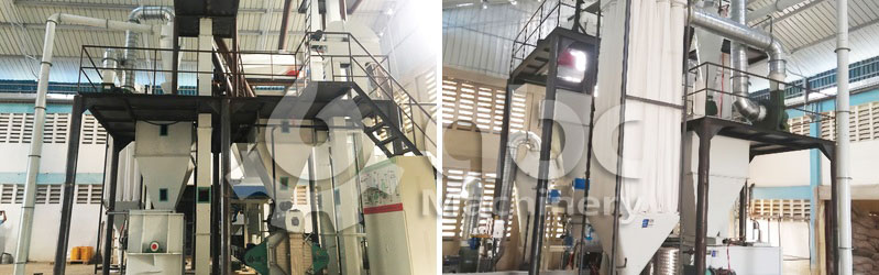 Customizable Cow Feed Plant Solution